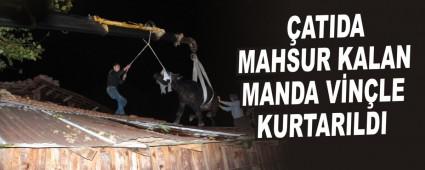 �ATIDA MAHSUR KALAN MANDA V�N�LE KURTARILDI