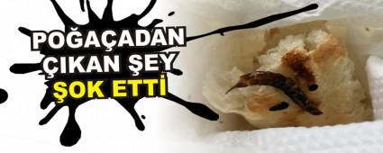 PO�A�ADAN �IKAN �EY �OK ETT�