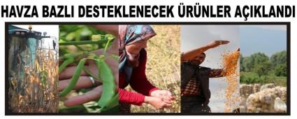 HAVZA BAZLI DESTEKLENECEK �R�NLER A�IKLANDI