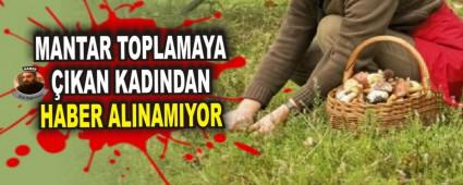 MANTAR TOPLAMAYA �IKAN KADINDAN HABER ALINAMIYOR