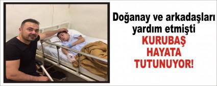 KURUBA� HAYATA TUTUNUYOR!