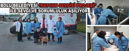 Bolu Belediyesi �Hayvan Sevgisi Projesi�  ile sevgi ve sorumluluk a��l�yor