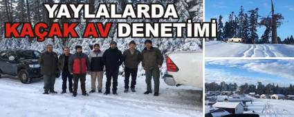 YAYLALARDA KA�AK AV DENET�M�