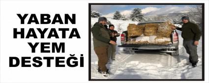 YABAN HAYATA YEM DESTE��