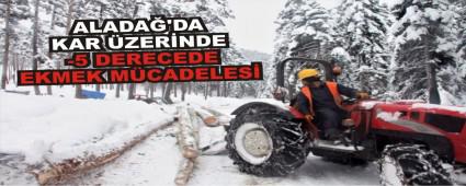 ALADA�'DA KAR �ZER�NDE -5 DERECEDE EKMEK M�CADELES�