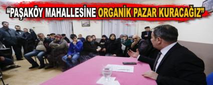 �ORGAN�K PAZAR KURACA�IZ�