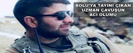 BOLU\'YA TAY�N� �IKAN UZMAN �AVU�UN ACI �L�M�