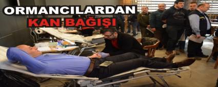 ORMANCILARDAN KAN BA�I�I