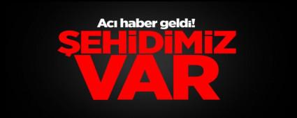 ACI HABER GELD�