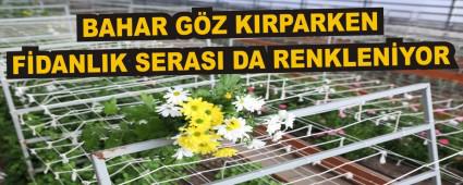 BAHAR G�Z KIRPARKEN F�DANLIK SERASI DA RENKLEN�YOR