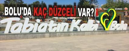 BOLU'DA KA� D�ZCEL� VAR?