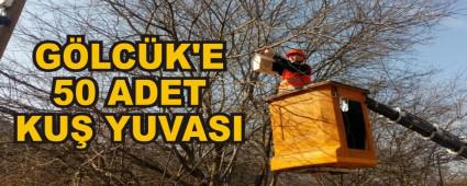 G�LC�K'E 50 ADET KU� YUVASI