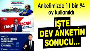 ��TE DEV ANKET SONUCU�