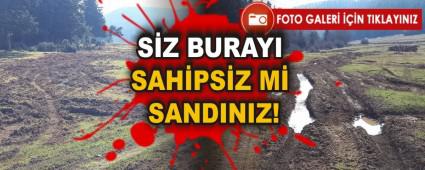 S�Z BURAYI SAH�PS�Z M� SANDINIZ!
