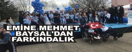 EM�NE MEHMET BAYSAL\'DAN FARKINDALIK
