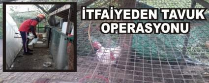�TFA�YEDEN TAVUK OPERASYONU