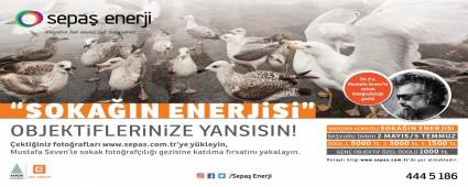 BA�B�, MUSTAFA SEVEN\'� A�IRLAMAYA HAZIRLANIYOR
