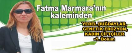 YEREL BU�DAYLAR, GENET�K EROZYON, KADIN ��FT��LER-1. B�l�m