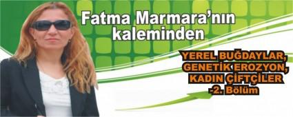YEREL BU�DAYLAR, GENET�K EROZYON, KADIN ��FT��LER-2. B�l�m