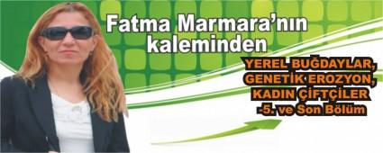 YEREL BU�DAYLAR, GENET�K EROZYON, KADIN ��FT��LER -5. ve Son B�l�m