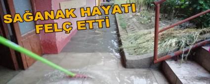 SA�ANAK HAYATI FEL� ETT�