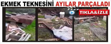 EKMEK TEKNES�N� AYILAR PAR�ALADI