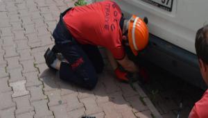YAVRU KED�N�N �MDADINA �TFA�YE YET��T�