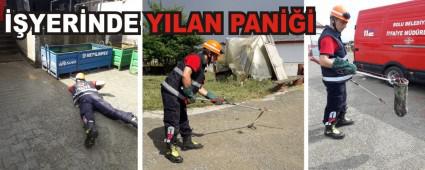 ��YER�NDE YILAN PAN���