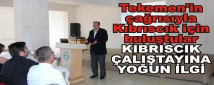 KIBRISCIK �ALI�TAYINA YO�UN �LG�