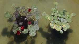 HERKES KEND�NE YAKI�ANI D�KER