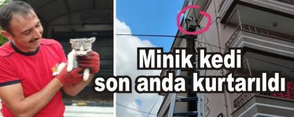 Minik kedi son anda kurtar�ld�