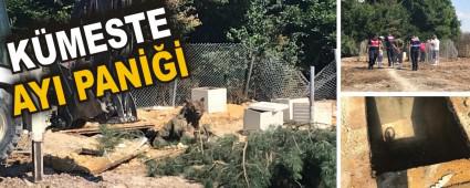 K�MESTE AYI PAN���