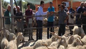 Canl� Hayvan Pazar� hizmete a��ld�