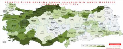 YE��L� EN FAZLA �LK 5 �L ���NDEY�Z