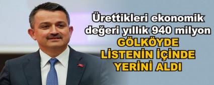 G�LK�YDE L�STEN�N ���NDE YER�N� ALDI