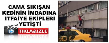 CAMA SIKI�AN KED�N�N �MDADINA �TFA�YE EK�PLER� YET��T�