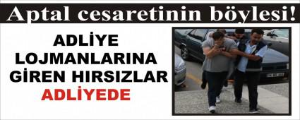 Aptal cesaretinin b�ylesi!