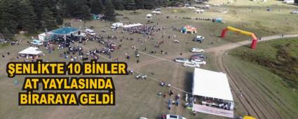 �ENL�KTE 10 B�NLER AT YAYLASINDA B�RARAYA GELD�