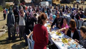 ALANH�MMETLER K�YL� BULU�MASINA  �LG� B�Y�K OLDU!..