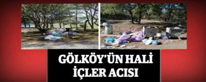 G�LK�Y\'�N HAL� ��LER ACISI
