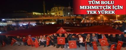 T�M BOLU MEHMET��K ���N TEK Y�REK