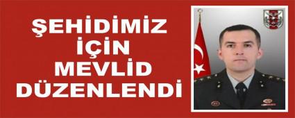 �EH�D�M�Z ���N MEVL�D D�ZENLEND�