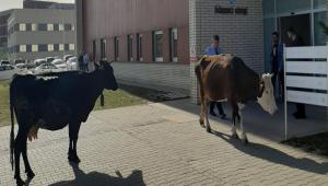 YAKINDA DERSE G�RECEKLER