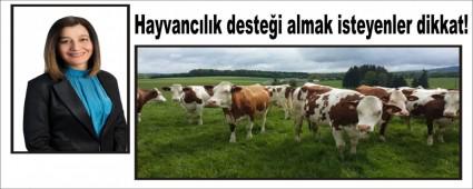 Hayvanc�l�k deste�i almak isteyenler dikkat!