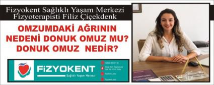 OMZUMDAK� A�RININ NEDEN� DONUK OMUZ MU?