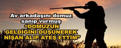 Av arkada��n� domuz san�p vurmu�