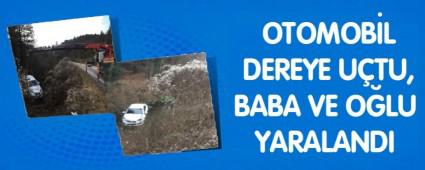 OTOMOB�L DEREYE U�TU, BABA VE O�LU YARALANDI