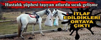 Hastal�k ��phesi ta��yan atlarda s�cak geli�me
