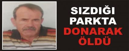 SIZDI�I PARKTA DONARAK �LD�