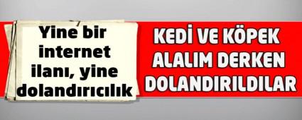 Yine bir internet ilan�, yine doland�r�c�l�k